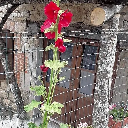 Nocleg ze śniadaniem Les Tremieres
